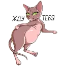 Стикер Маша Сфинкс