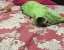 Стикер Маша