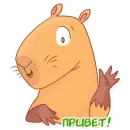 Капи Барри