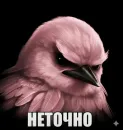 Стикер Birds Memes