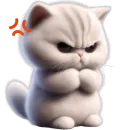 Милый котик