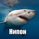 Стикер Пон