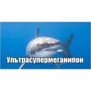 Стикер Пон