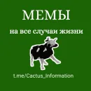 Мемы на все случаи жизни