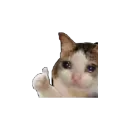 Стикер Мемы