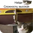 Стикер Meme