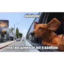 Стикер Мемность