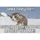 Стикер Мемность