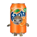 Мемные коты