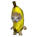 Стикер Мемные коты