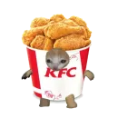 Стикер Мемные коты