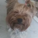 Стикер Мия