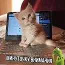 Стикер MeowBots 3