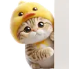Мяу утка