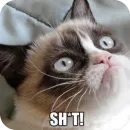 Стикер Meow Peow