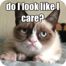 Стикер Meow Peow