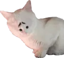 Мяу Please