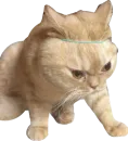 Стикер Мяу Please