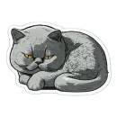 Meowji
