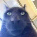 МЕРЖ ЛЕГЕНДА created