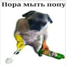 Стикер МЕРЖ ЛЕГЕНДА created