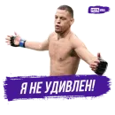Стикер Meta MMA | UFC