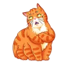 Стикер Паукоты