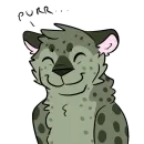 Стикер Midori Leopard