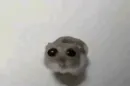 Стикер Мили
