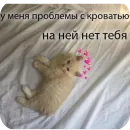 Стикер Милые котики