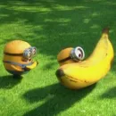 Стикер minions