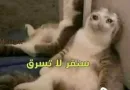 Mood MiX