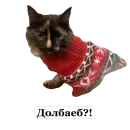 Мое