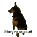 Стикер Мое