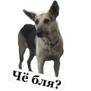 Стикер Мое