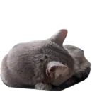 Стикер Живность_N1