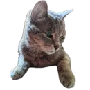 Стикер Живность_N1