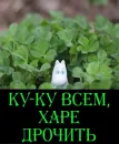 Moomin Fuck Mode