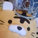 Прикольные мордочки