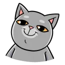 Мистер Кокос