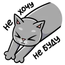 Стикер Мистер Кокос