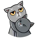 Стикер Мистер Кокос