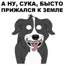 Стикер Мистер Пиклз