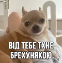 Стикер МурМарсік