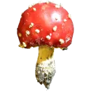 Стикер Грибной pack