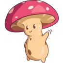 Mushroom Boy
