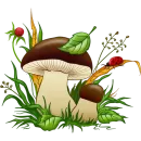 Стикер Mushrooms