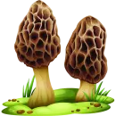 Стикер Mushrooms
