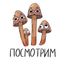 Стикер Mushrooms