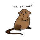 Стикер Печальная ондатра